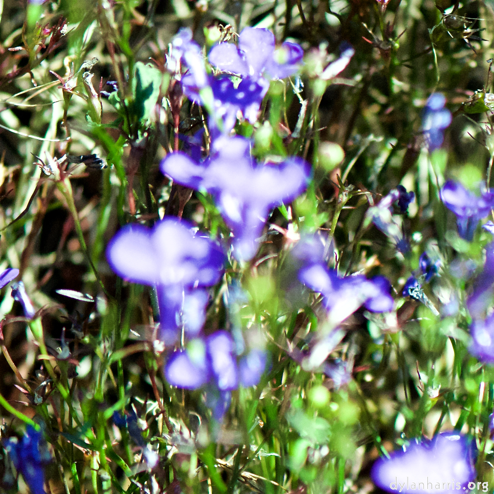 image: This is ‘
parc (xxxix) 6
’.