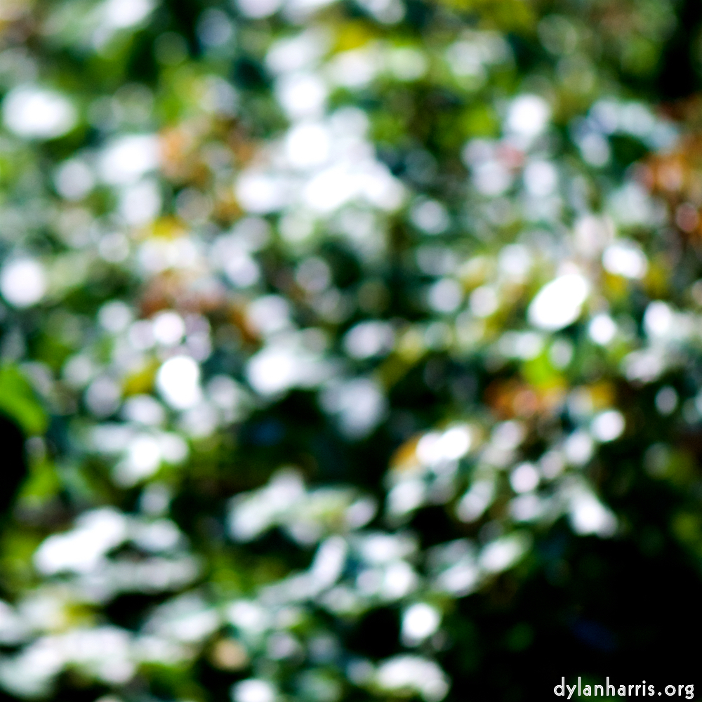 image: This is ‘
parc (xxxix) 7
’.