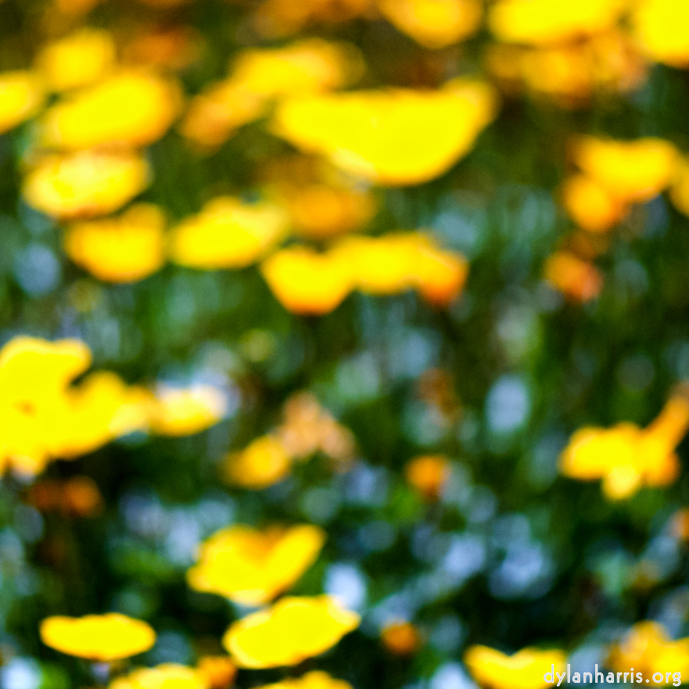 image: This is ‘
parc (xxxix) 8
’.