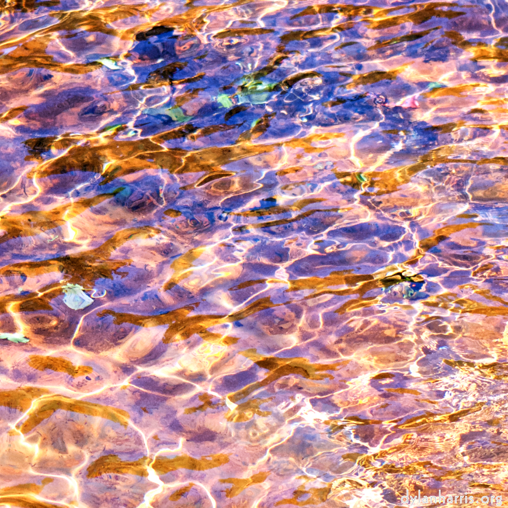 image: This is ‘
parc (xxxix) 9
’.