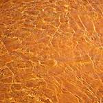 image: Image from the photoset ‘
parc (xxxix)
’.