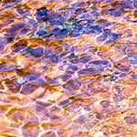 image: Image from the photoset ‘
parc (xxxix)
’.