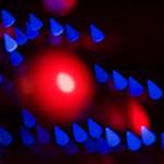 image: Image from the photoset ‘
luxembourg (xii)
’.