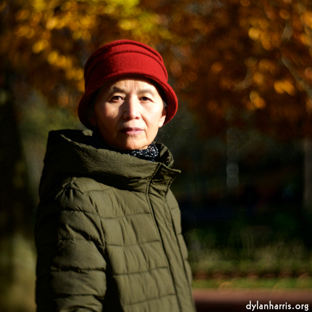 image: This is ‘
L (xxiii) 1
’.