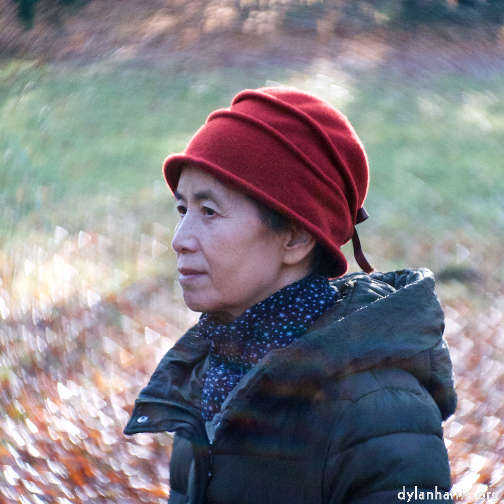 image: This is ‘
L (xxiii) 3
’.