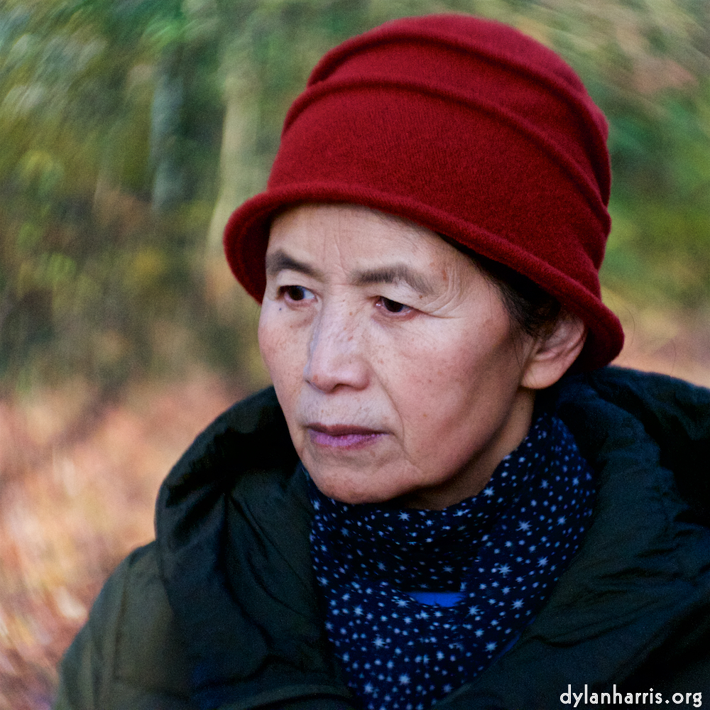 image: This is ‘
L (xxiii) 5
’.