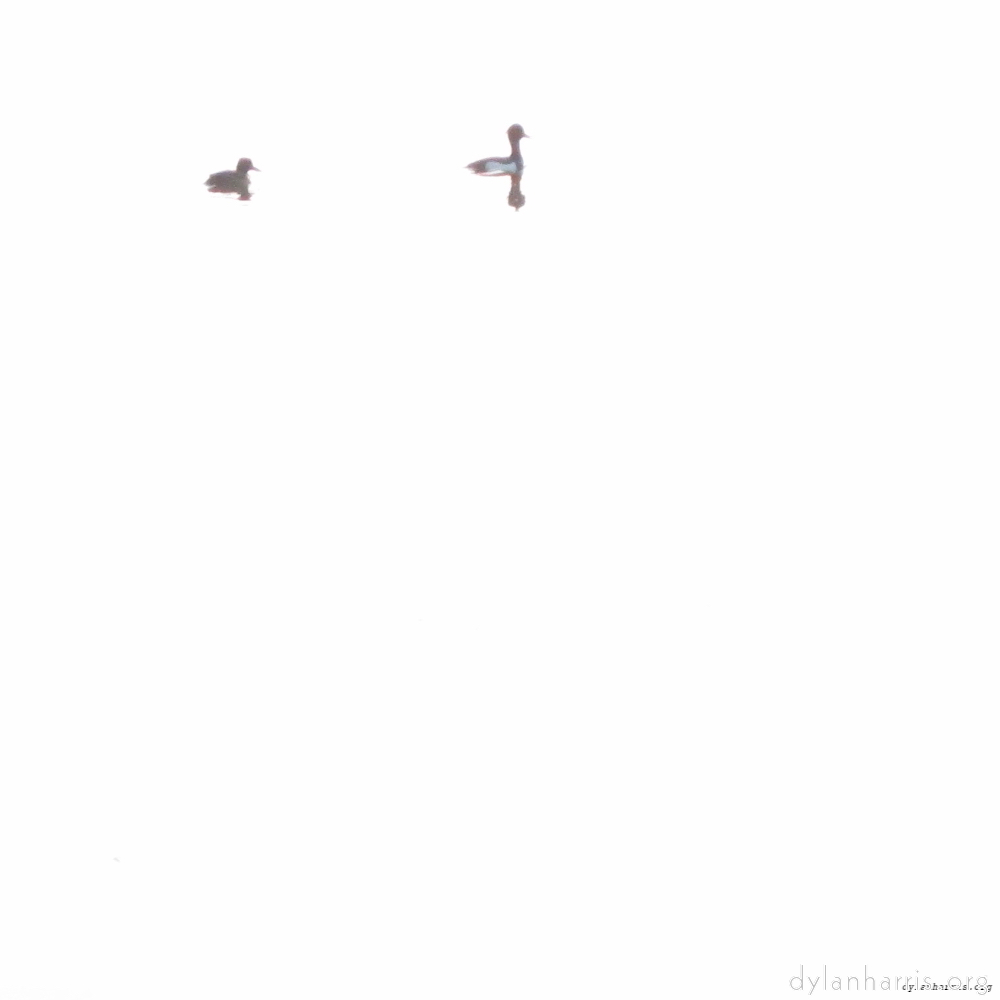 Image: Image 'eindhoven (ii) 6'.