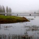 Image: Fourth image from the photoset 'eindhoven (ii)'.