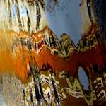 Image: Fourth image from the photoset 'amsterdam (i)'.