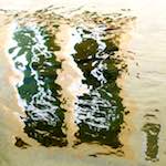 Image: Third image from the photoset 'freiburg im breisgau'.