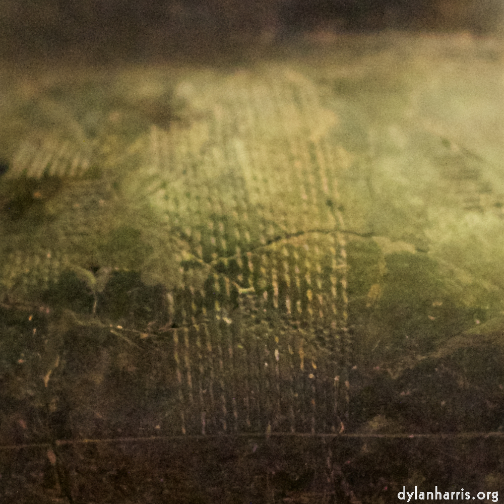 Image: Image 'museum (i) 6'.