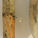 Image: Fifth image from the photoset 'museum (i)'.