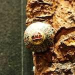 Image: Fourth image from the photoset 'museum (v)'.