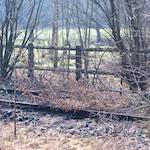 Image: Sixth image from the photoset 'train (xvi)'.