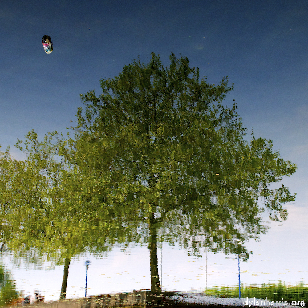 Image 'eindhoven (vii) 1'.