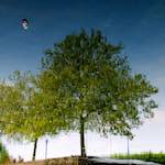 Image: First image from the photoset 'eindhoven (vii)'.