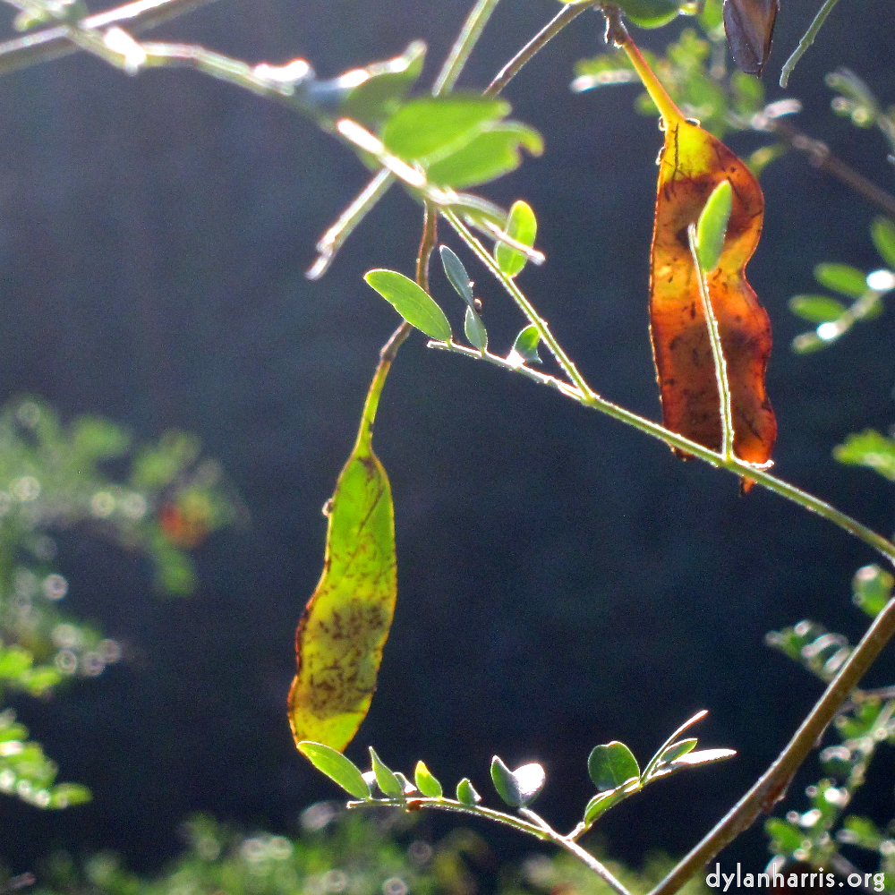 image: This is ‘
sky gate 3
’.