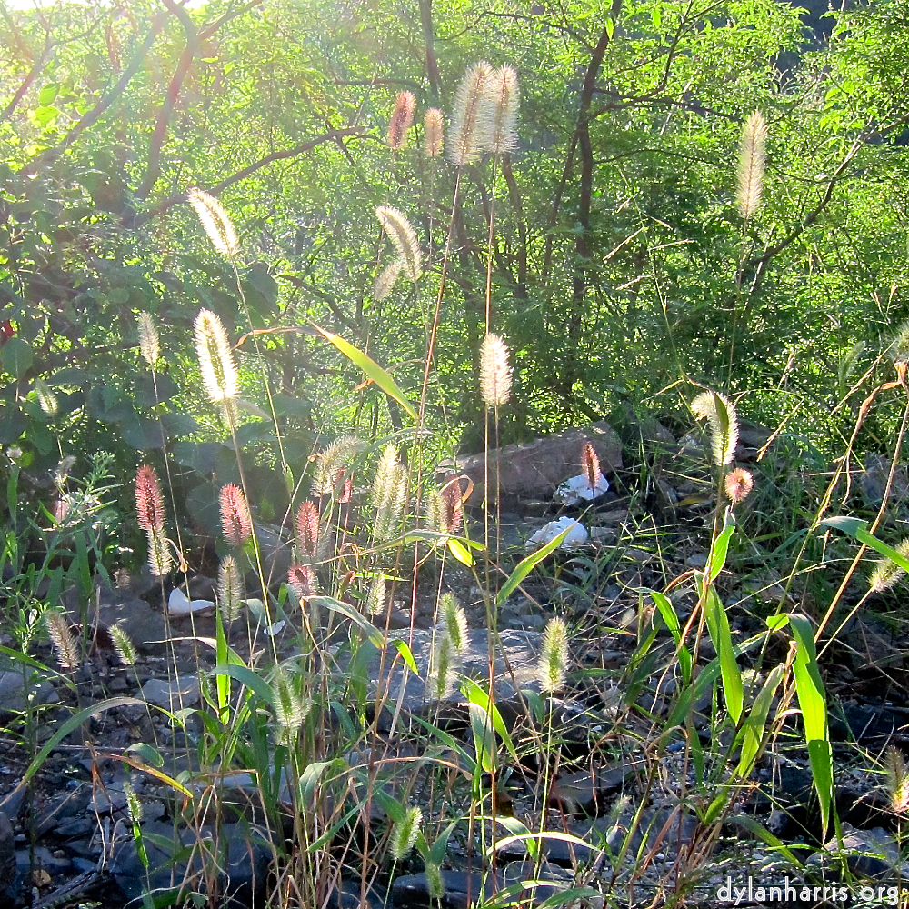 image: This is ‘
sky gate 5
’.