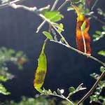 image: Image from the photoset ‘
sky gate
’.