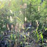 image: Image from the photoset ‘
sky gate
’.