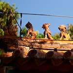 image: Image from the photoset ‘
tanzhe temple (i)
’.