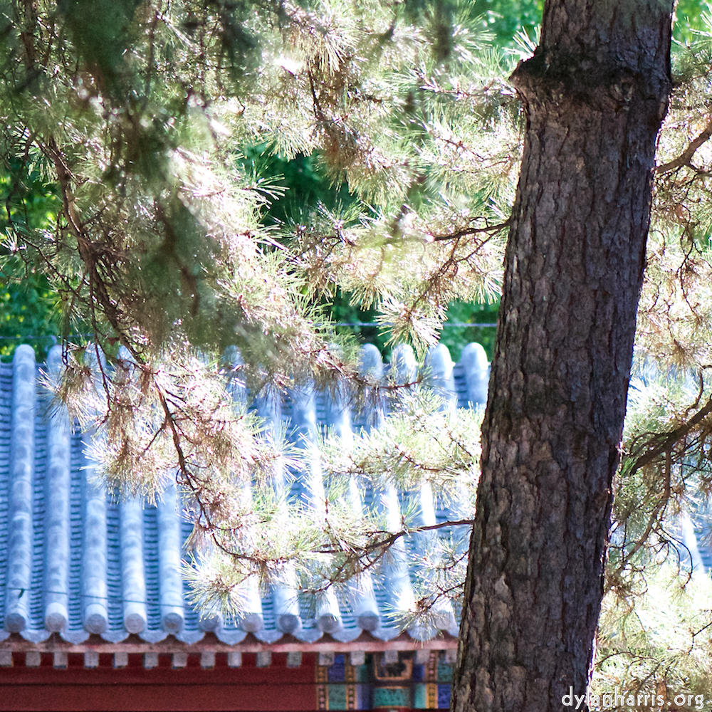 image: This is ‘
tanzhe temple (iii) 2
’.