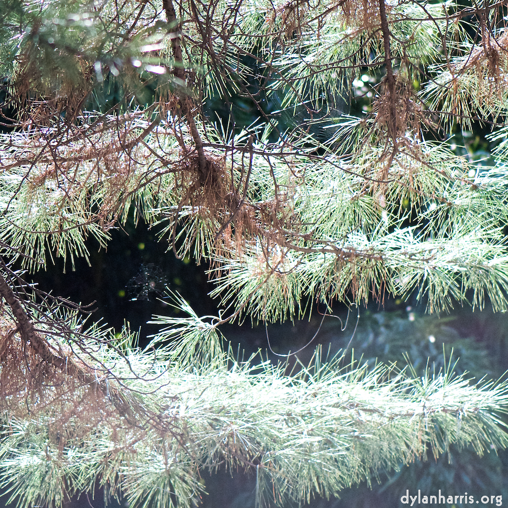 image: This is ‘
tanzhe temple (iii) 5
’.