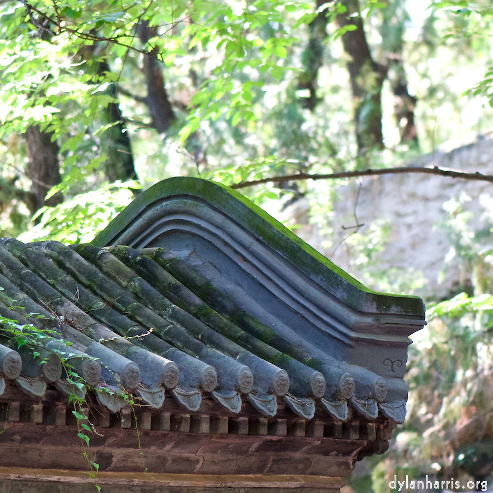 image: This is ‘
tanzhe temple (iv) 1
’.