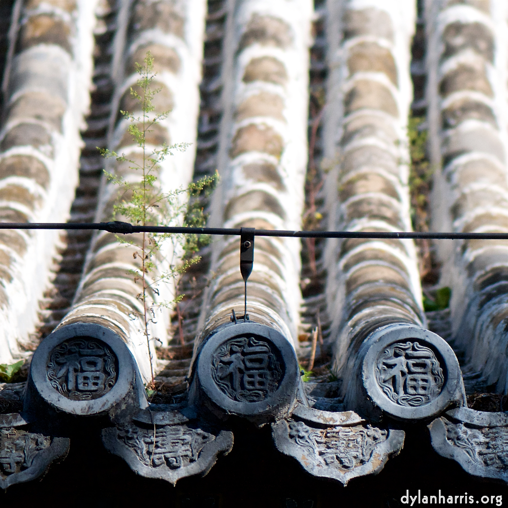 image: This is ‘
tanzhe temple (iv) 3
’.