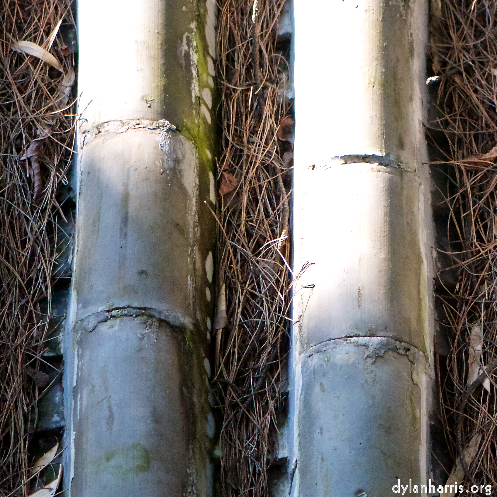 image: This is ‘
tanzhe temple (iv) 4
’.