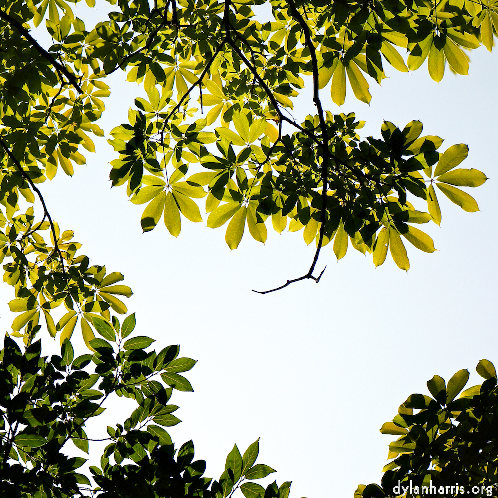 image: This is ‘
tanzhe temple (iv) 5
’.