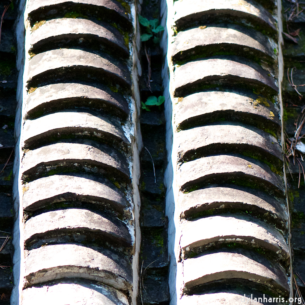 image: This is ‘
tanzhe temple (iv) 6
’.