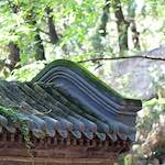 image: Image from the photoset ‘
tanzhe temple (iv)
’.