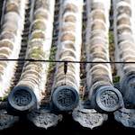 image: Image from the photoset ‘
tanzhe temple (iv)
’.