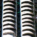 image: Image from the photoset ‘
tanzhe temple (iv)
’.