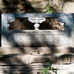 image: Image from the photoset ‘
tanzhe temple (ii)
’.