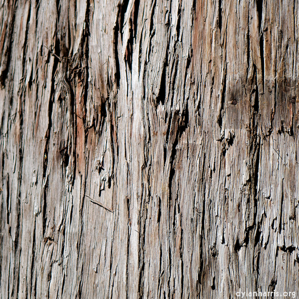 image: This is ‘
tanzhe temple (vi) 5
’.