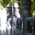 image: Image from the photoset ‘
tanzhe temple (vi)
’.