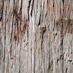 image: Image from the photoset ‘
tanzhe temple (vi)
’.