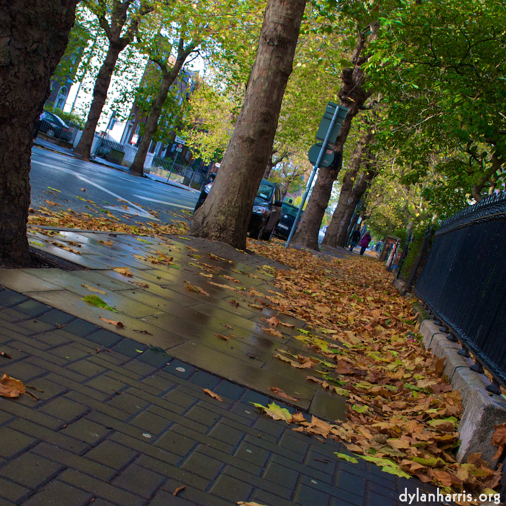 Image 'dublin (vi) 1'.