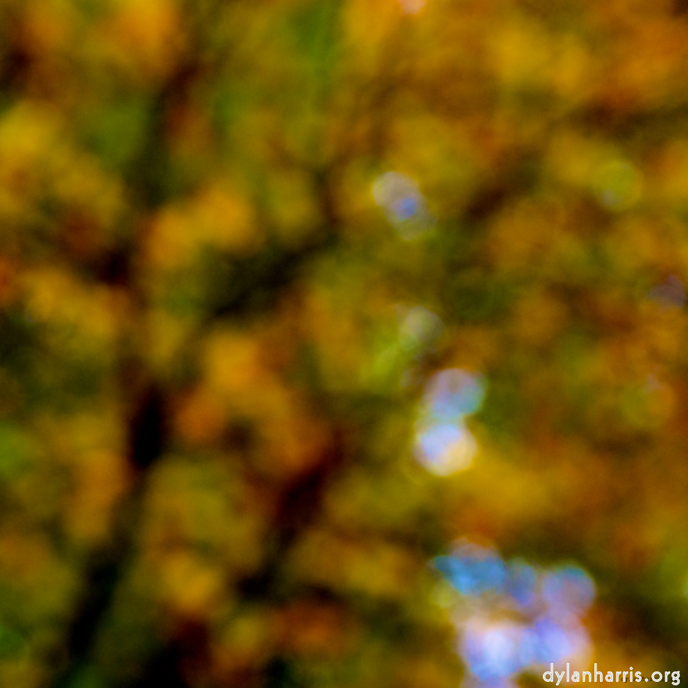 Image: Image 'dublin (vi) 11'.