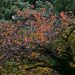 Image: Thirteenth image from the photoset 'dublin (vi)'.