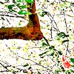 Image: Sixth image from the photoset 'dublin (vi)'.