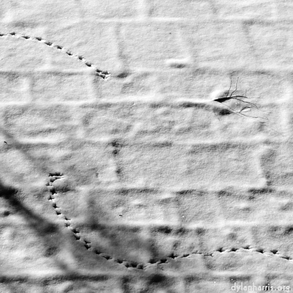 Image: Image 'montmartre (xiv) 4'.