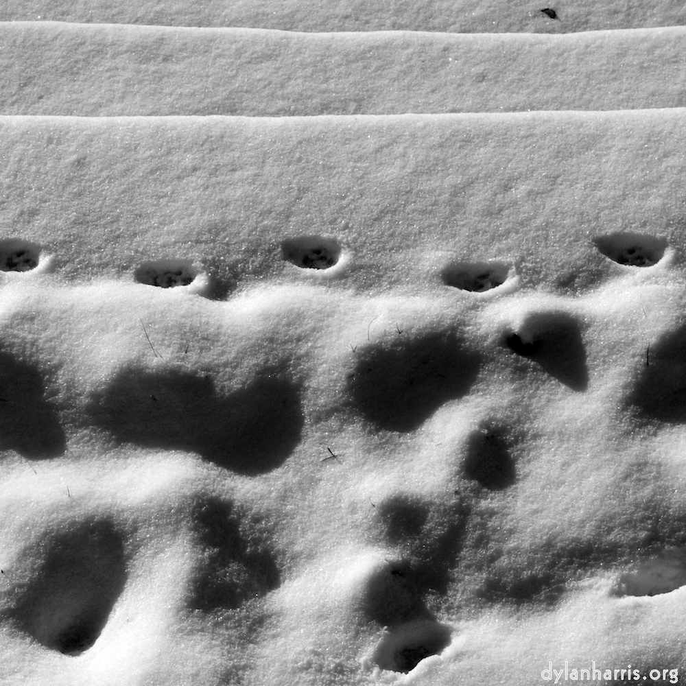 Image: Image 'montmartre (xiv) 6'.