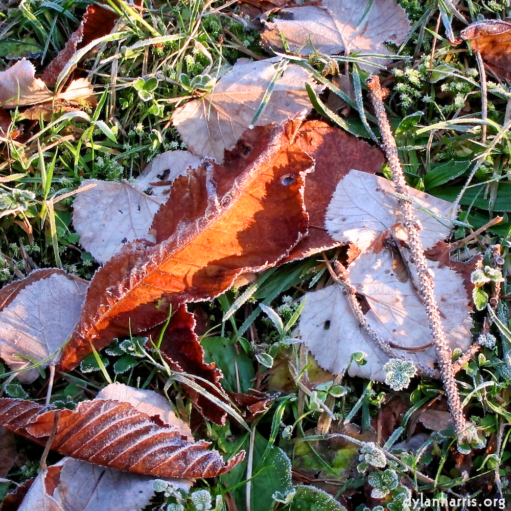 image: This is ‘
parc (xxxv) 3
’.