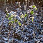 Image: Fifth image from the photoset 'parc (xxxv)'.