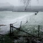 Image: Second image from the photoset 'way to work B (iii)'.