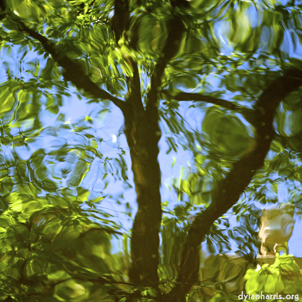 Image 'amsterdam (vi) 8'.