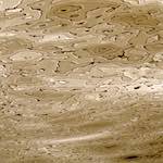 Image: Second image from the photoset 'amsterdam (vi)'.